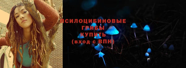 мяу мяу мука Нея