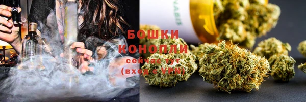PSILOCYBIN Новозыбков