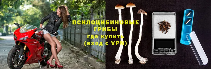 Псилоцибиновые грибы MAGIC MUSHROOMS  Новосиль 